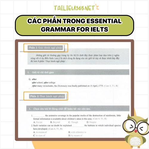 Các phần trong Essential Grammar for IELTS