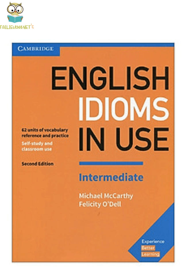 Cambridge English Idioms in Use Intermediate