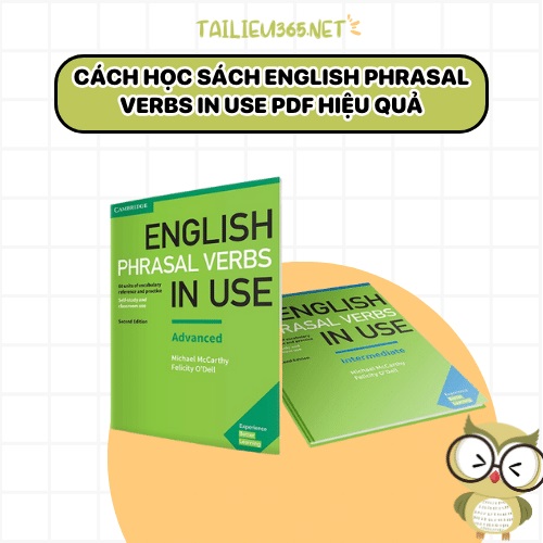 Cách học sách English Phrasal Verbs In Use PDF hiệu quả