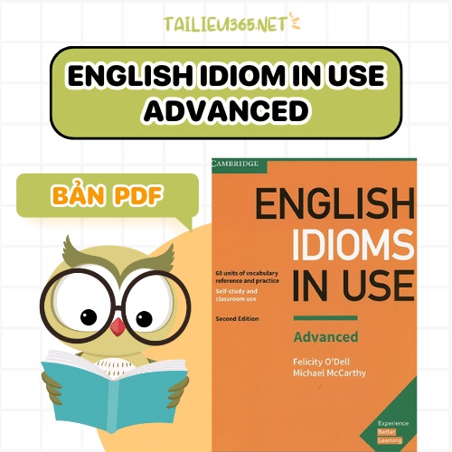 English Idiom in Use Advanced