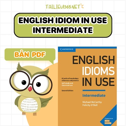 English Idiom in Use Intermediate